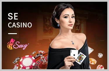 Biểu đồ minh họa các loại cookie và chức năng của chúng trên nền tảng 1xbetvi win